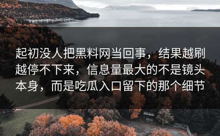 起初没人把黑料网当回事，结果越刷越停不下来，信息量最大的不是镜头本身，而是吃瓜入口留下的那个细节